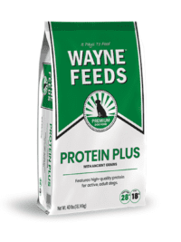 Wayne Feeds Protein Plus 40lb