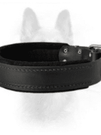 Black Leather Dog Collar