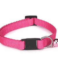 Cat Collar