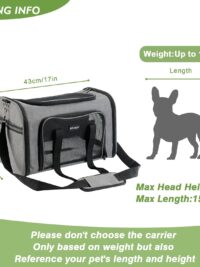 Airline-Approved Collapsible Pet Carrier – Up to 15lbs