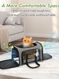 Airline-Approved Collapsible Pet Carrier – Up to 15lbs